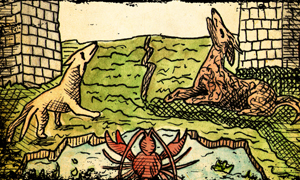 De symboliek van de Tarot